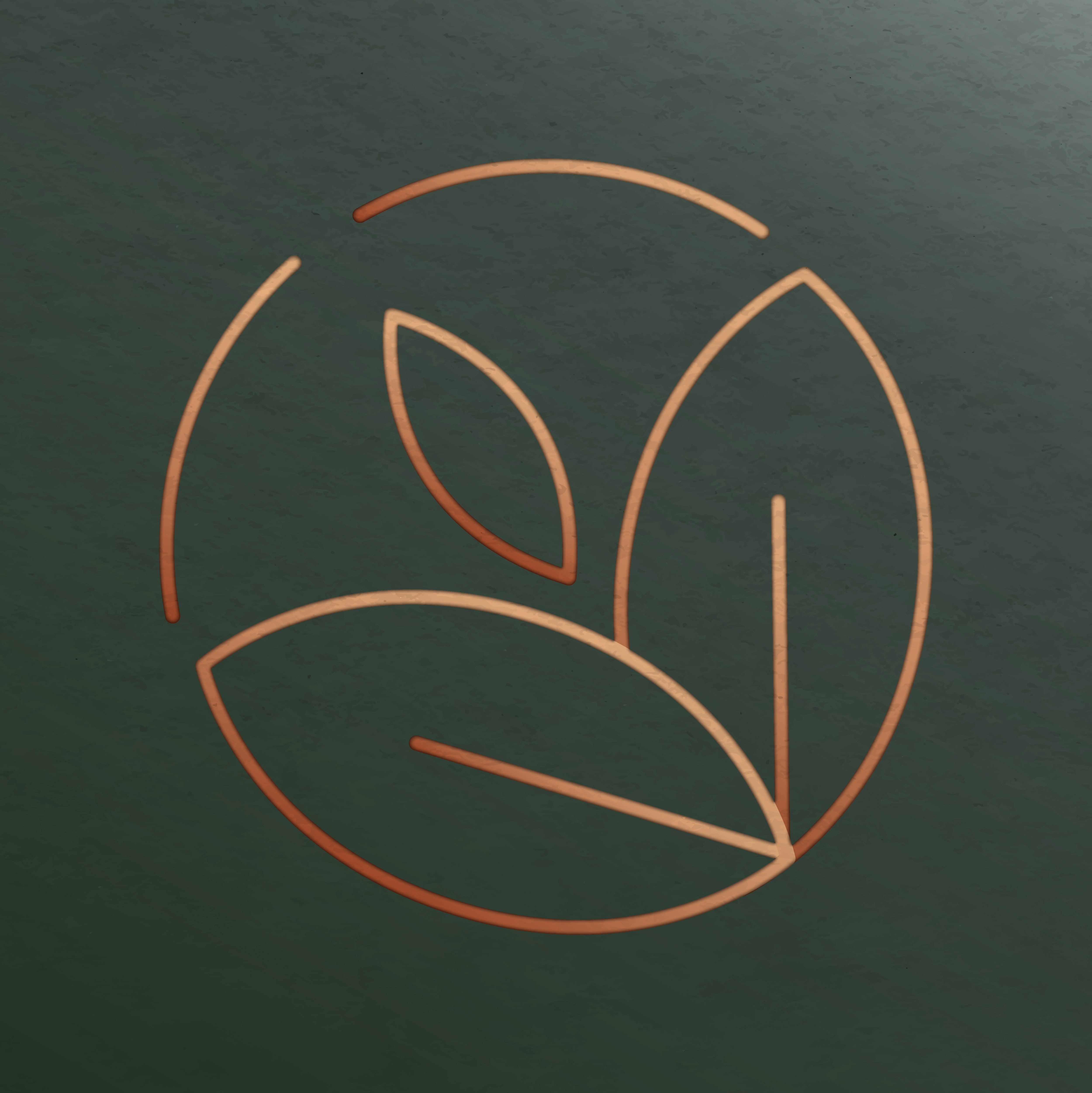 Biodry2energy – Transforming waste